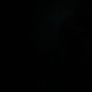 Meet your Posher, Darren